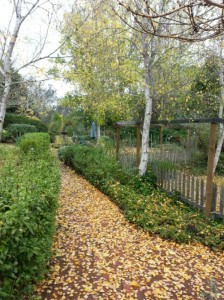 Redgum Hill Country Retreat 