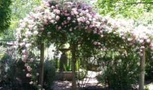 Redgum Hill Country Retreat garden