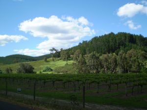 Nannup countryside